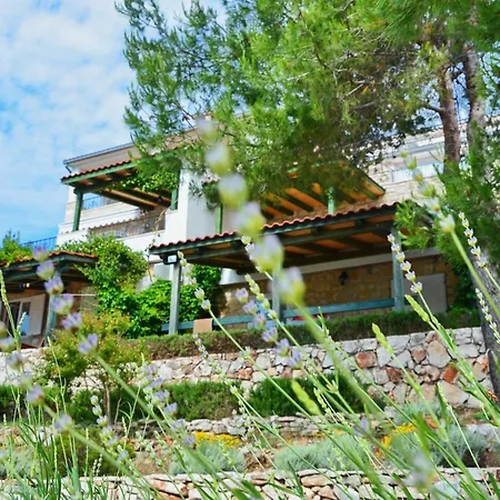 Lejlighed Blissful Bay - One Bedroom With Terrace